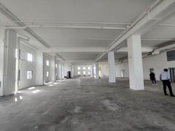 Woodlands Spectrum (D25), Factory #518837601